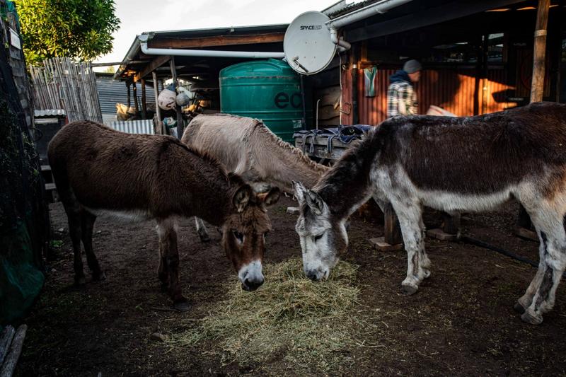 5 Bedroom Property for Sale in The Crags Western Cape